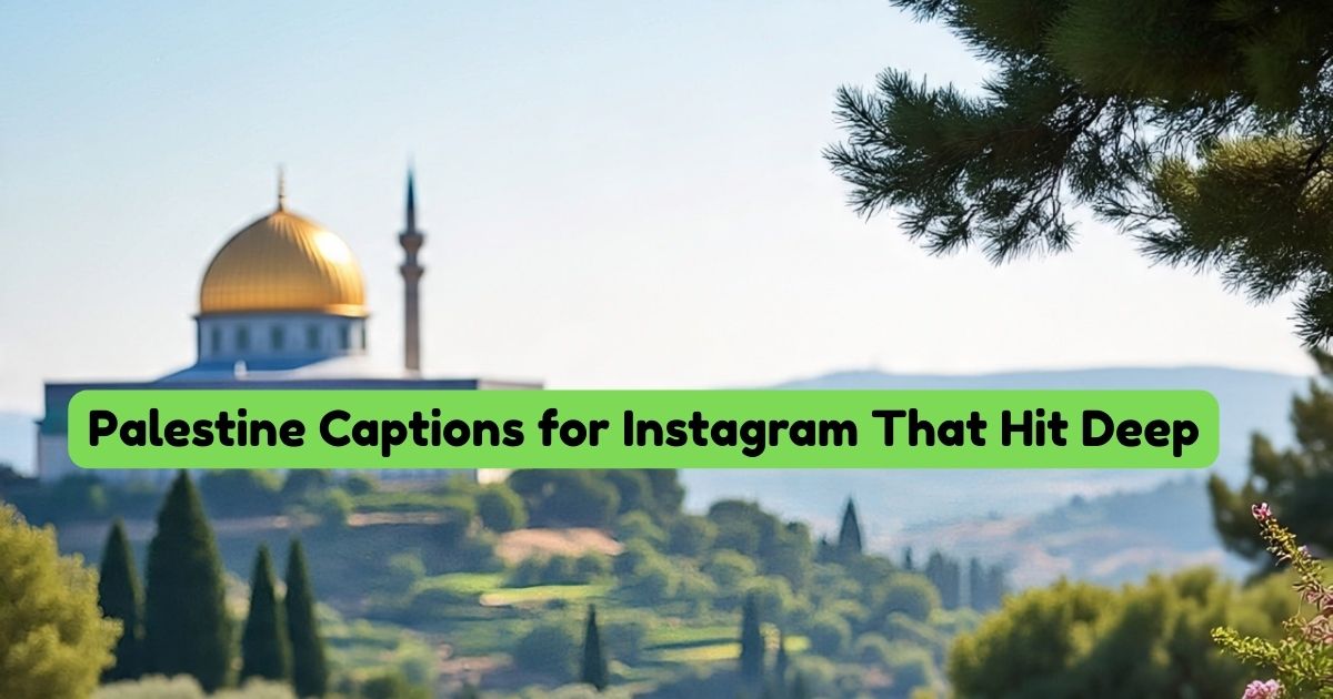 215+ Palestine Captions for Instagram That Hit Deep