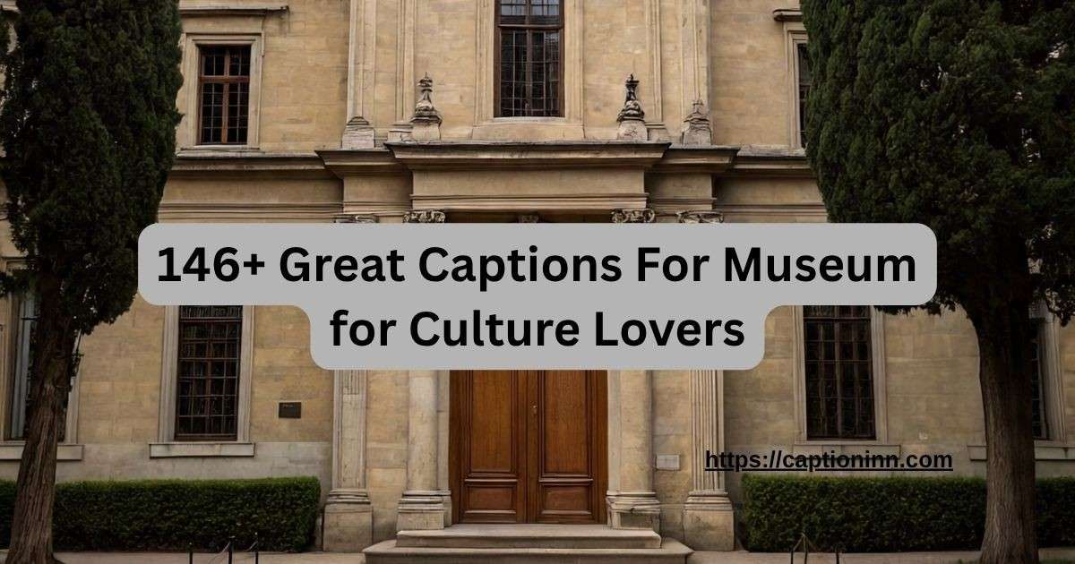 146+ Great Captions For Museum for Culture Lovers